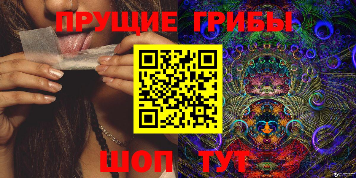 Галлюциногенные грибы MAGIC MUSHROOMS  Вход с VPN  Абакан 