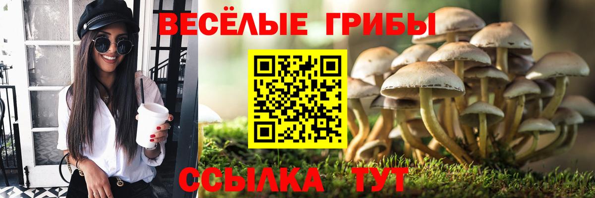 Псилоцибиновые грибы мицелий Абакан